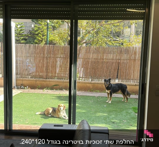 דלתות הזזה מזכוכית ביציאה מהסלון לחצר הבית